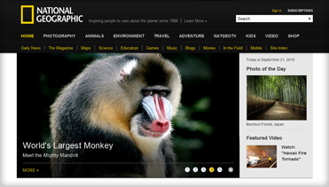 电话炸弹短信业务